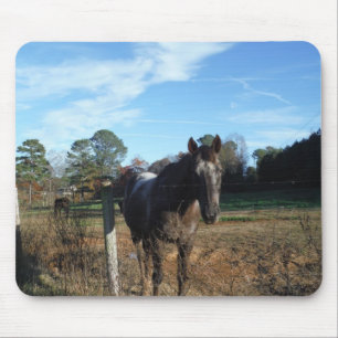 Coco and Cream brown horse Mouse Mat