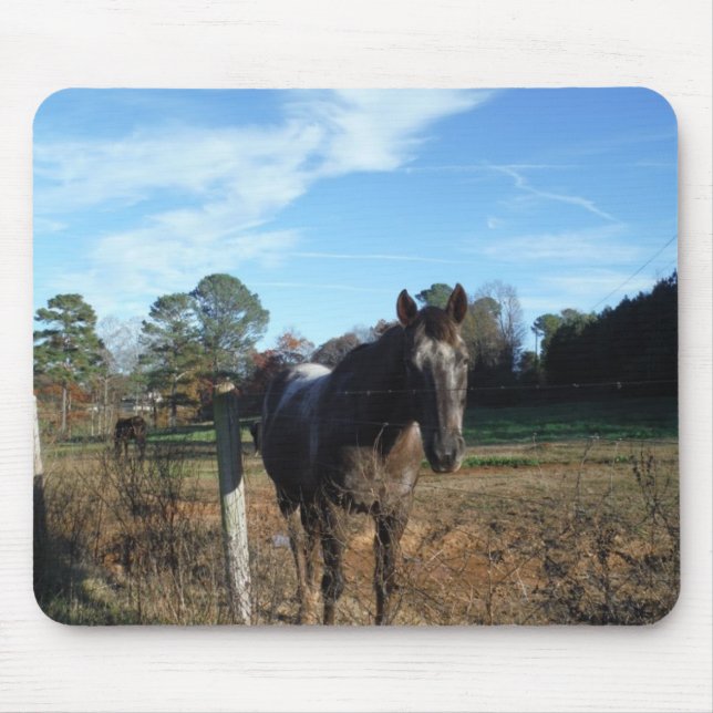 Coco and Cream brown horse Mouse Mat (Front)