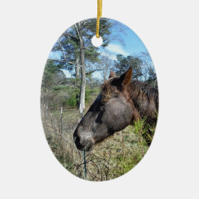 Coco and Cream Coloured Horse Ceramic Tree Decoration (Front)