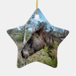 Coco and Cream Coloured Horse Ceramic Tree Decoration