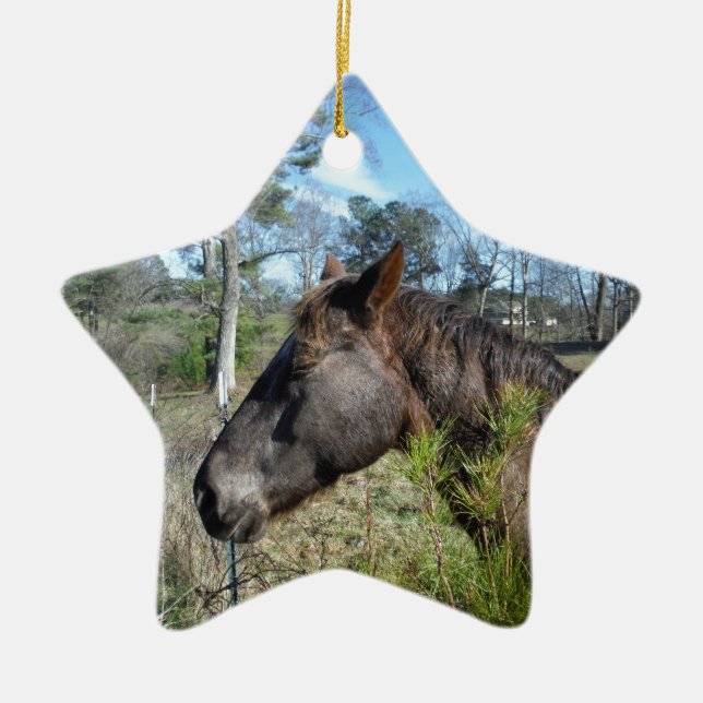 Coco and Cream Coloured Horse Ceramic Tree Decoration (Front)