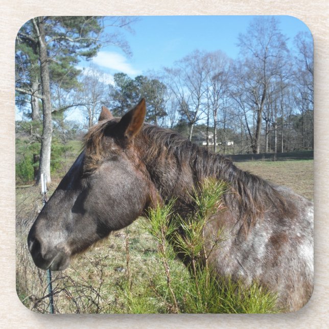 Coco and Cream Coloured Horse Coaster (Front)