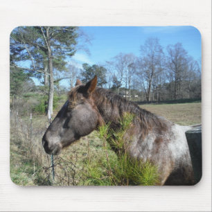Coco and Cream Coloured Horse Mouse Mat