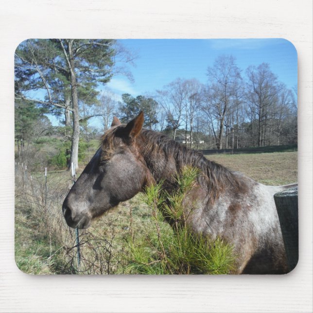 Coco and Cream Coloured Horse Mouse Mat (Front)