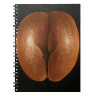 Coco de Mer 2010 Notebook