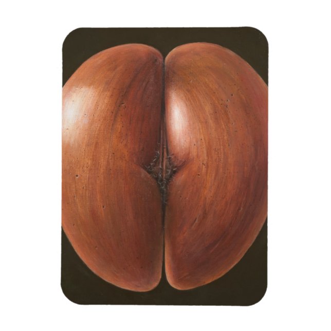 Coco de Mer Maldives 2012 Magnet (Vertical)