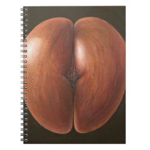 Coco de Mer Maldives 2012 Notebook