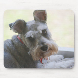 Coco, mini Schnauzer mousepad