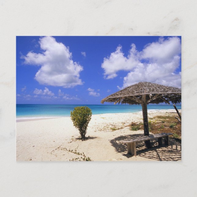 Coco Point Beach, Barbuda, Antigua Postcard (Front)