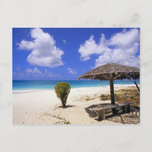 Coco Point Beach, Barbuda, Antigua Postcard