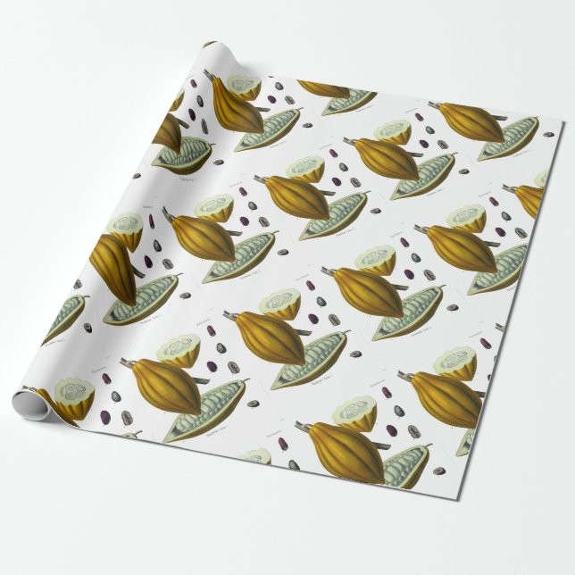 Cocoa bean vintage illustration gift paper (Unrolled)