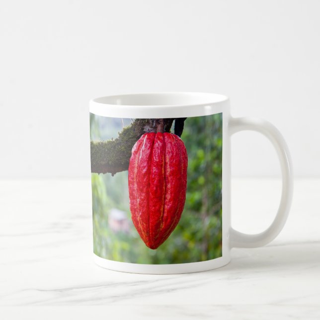 cocoa pod red coffee mug (Right)
