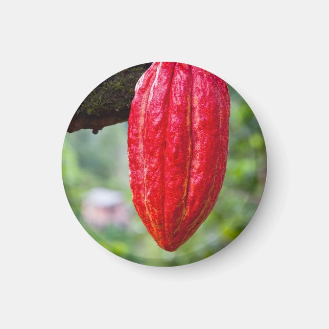 cocoa pod red magnet (Front)