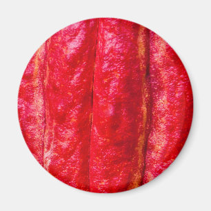 cocoa pod red magnet