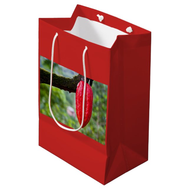 cocoa pod red medium gift bag (Front Angled)