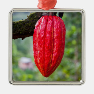 cocoa pod red metal tree decoration