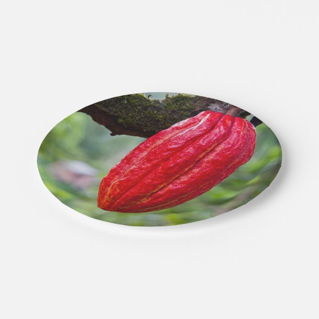 cocoa pod red paper plate (Angled)