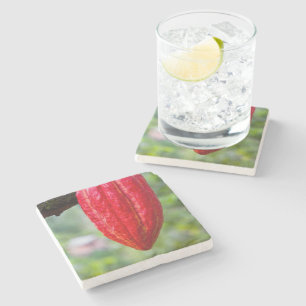 cocoa pod red stone coaster