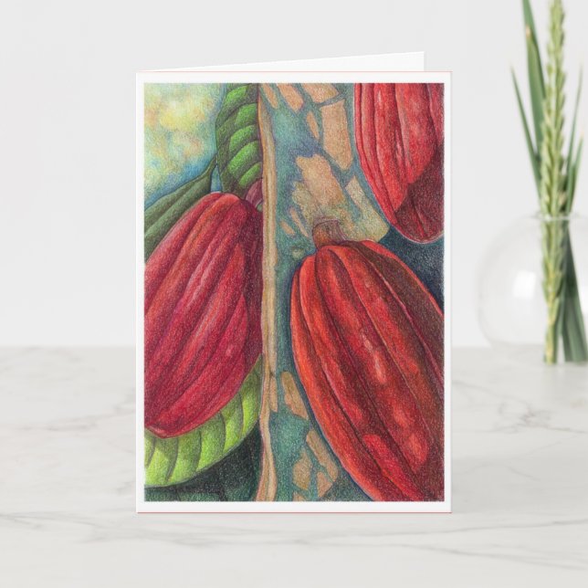 Cocoa Pods Holiday Card (Front)
