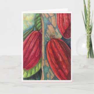 Cocoa Pods Holiday Card