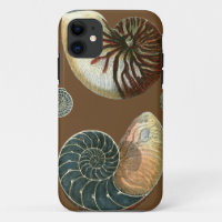 Cocoa Shell