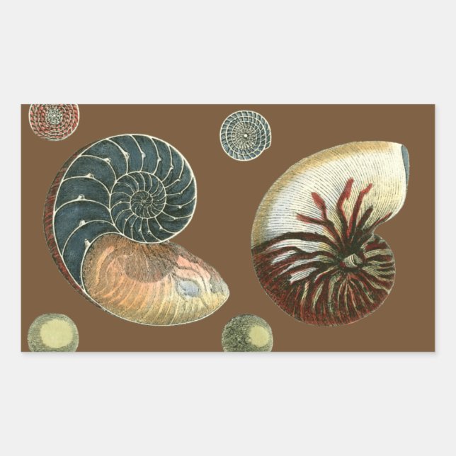 Cocoa Shell Rectangular Sticker (Front)