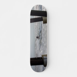 Cocoa Surfing Skateboard