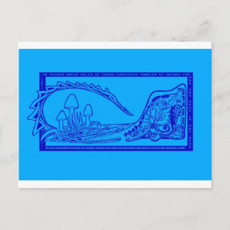 cocodrilo postcard