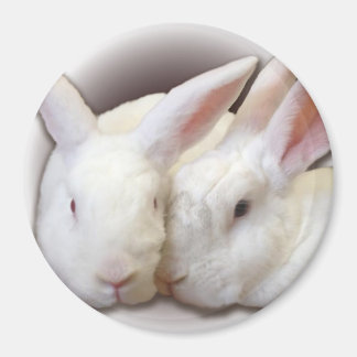 Coconut and Frosty Rescue Buns Magnet