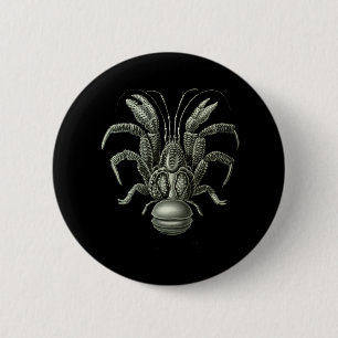 Coconut Crab 6 Cm Round Badge