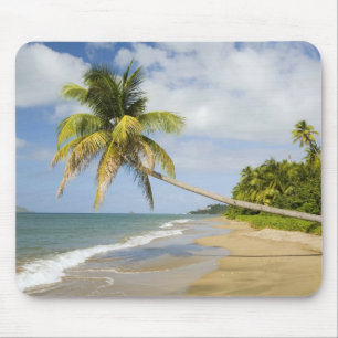 Coconut Grove Beach at Cades Bay, with St. 2 Mouse Mat