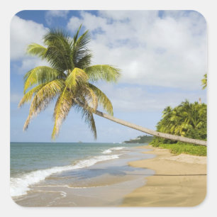 Coconut Grove Beach at Cades Bay, with St. 2 Square Sticker