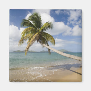 Coconut Grove Beach at Cades Bay, with St. Magnet