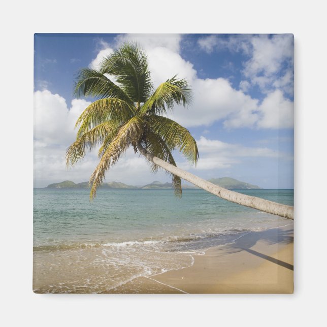 Coconut Grove Beach at Cades Bay, with St. Magnet (Front)