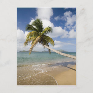 Coconut Grove Beach at Cades Bay, with St. Postcard