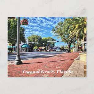 Coconut Grove, Florida Postcard