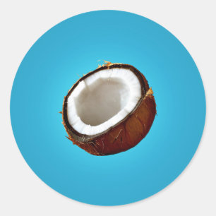 Coconut Half Classic Round Sticker