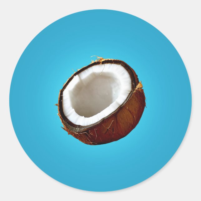 Coconut Half Classic Round Sticker (Front)