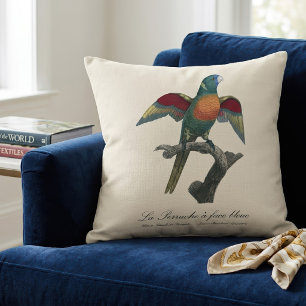 Coconut Lorikeet, Trichoglossus haematodus Cushion