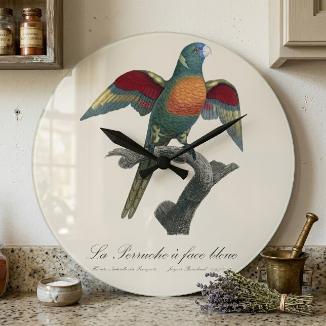 Coconut Lorikeet, Trichoglossus haematodus Large Clock (Coconut Lorikeet, Trichoglossus haematodus. Large Clock)