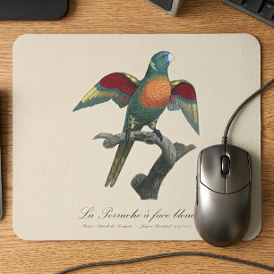 Coconut Lorikeet, Trichoglossus haematodus Mouse Mat