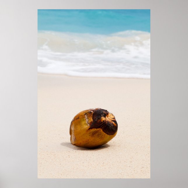 Coconut on a tropical beach poster (Front)