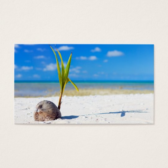 Coconut on the beach business card