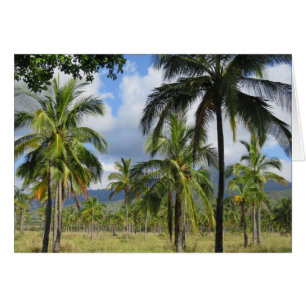Coconut Palm Forest