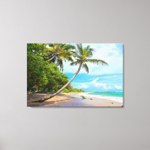 Coconut Palm, Mirissa Beach Sri Lanka Canvas Print