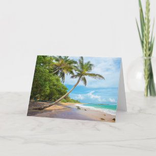 Coconut Palm, Mirissa Beach Sri Lanka Card