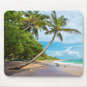 Coconut Palm, Mirissa Beach Sri Lanka Mouse Mat