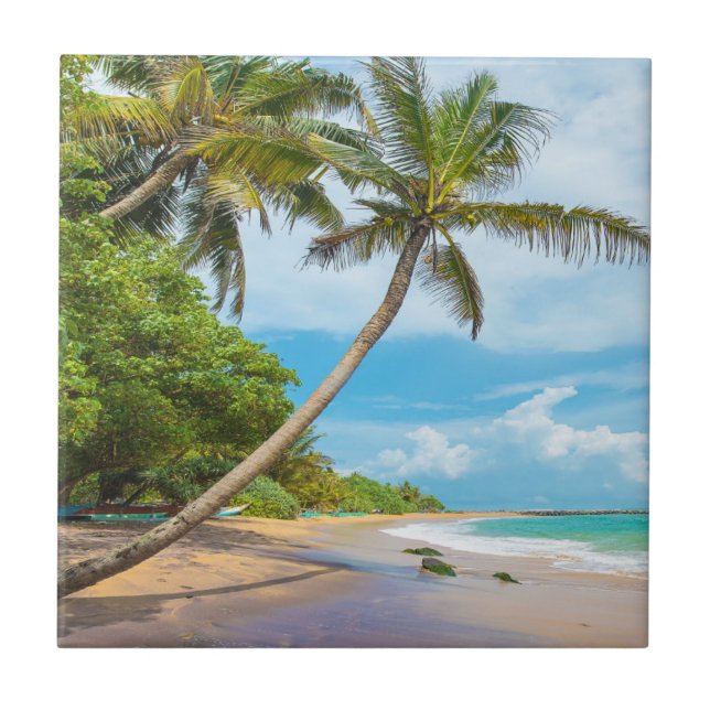 Coconut Palm, Mirissa Beach | Sri Lanka Tile (Front)
