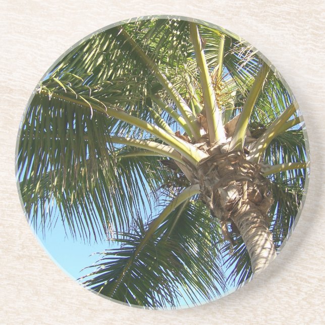 Coconut Palm Tree Coaster (Front)