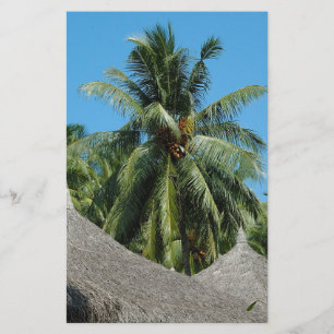 Coconut palm-tree flyer